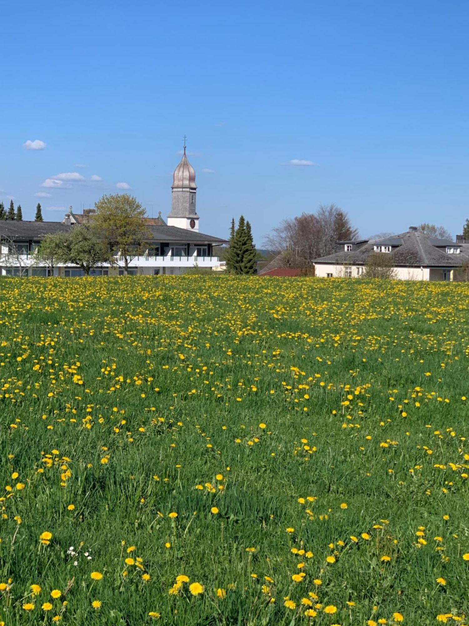 Pension Linde Höchenschwand Kültér fotó